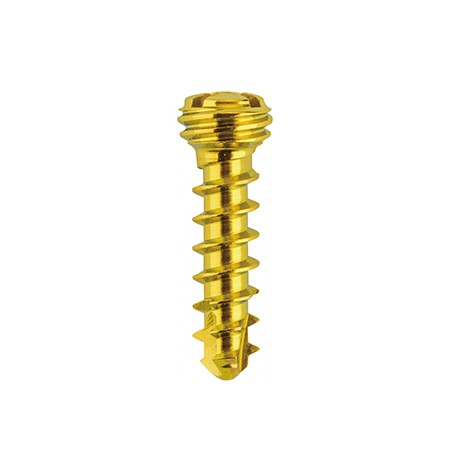 2.4 locking screw ჭანჭიკი მაბლოკირებელი